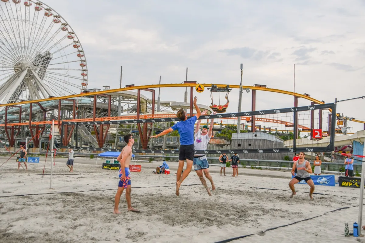Image: Pigdog Beach Volleyball Classic
