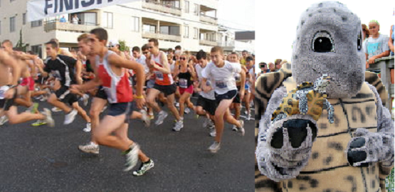 Image: Stone Harbor Turtle Trot