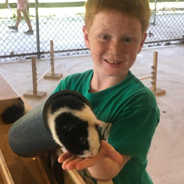 Image: Cape May County 4H Fair
