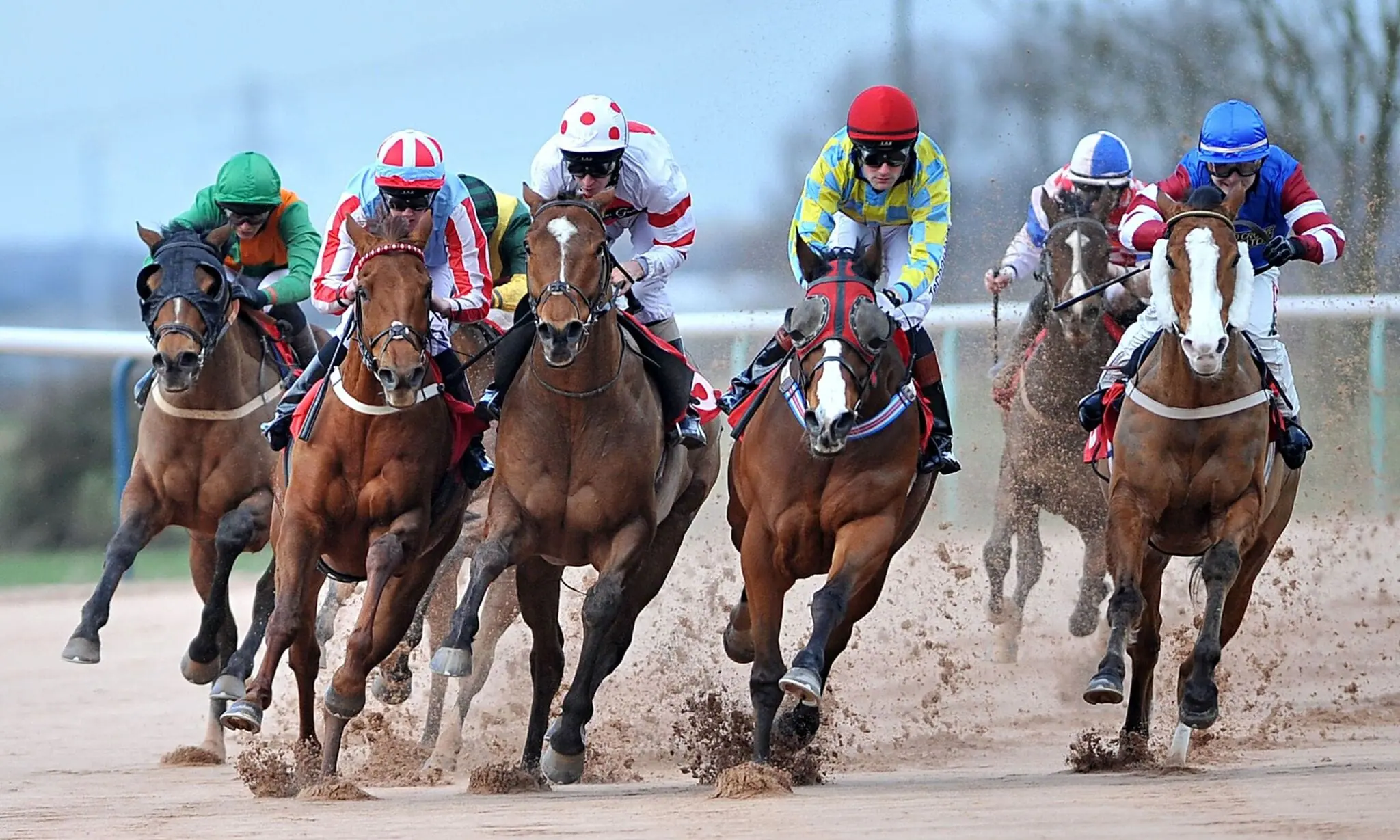 Image: A Nite at the Races