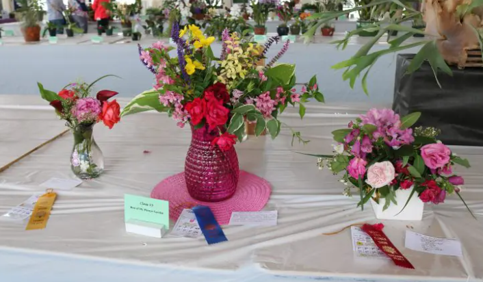 Image: Ocean City Flower Show
