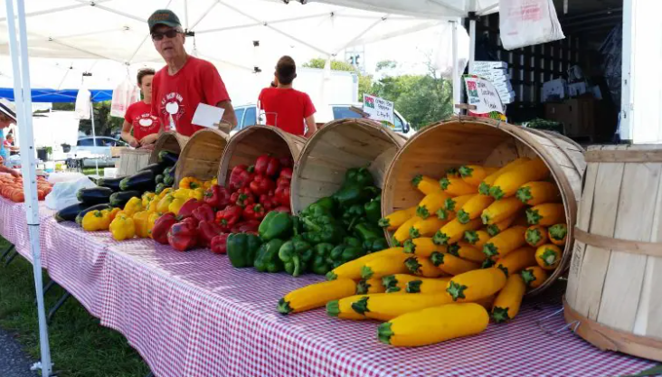 Image: Ocean City Farmers Market