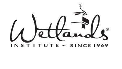 The Wetlands Institute invites marsh visits before summer hours end