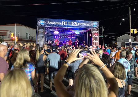 Image: Anglesea Blues Festival