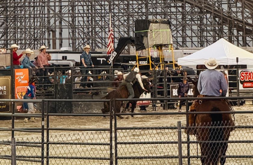 Image: Stampede Rodeo and Bulls on the Beach