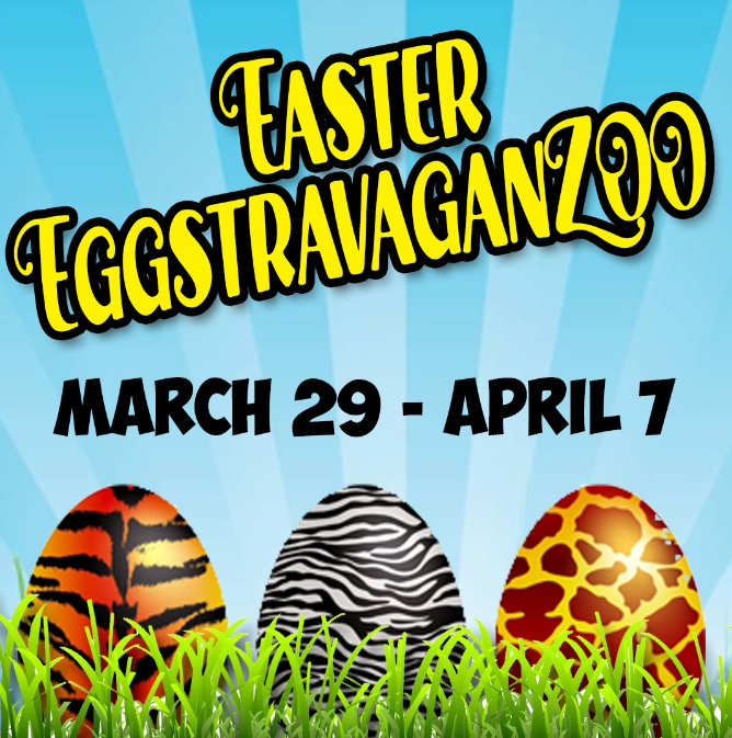 Unleash the Joy of Easter at the EGGStravanganZOO